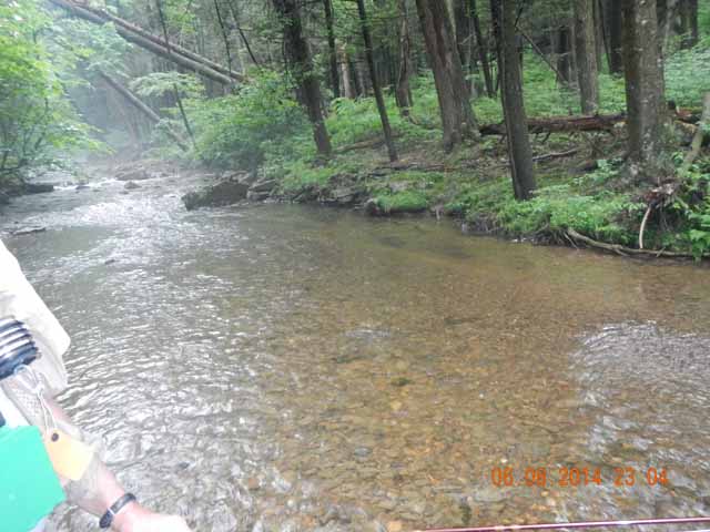 fowlers hollow.Laural run 06-09-14 037.jpg -                                